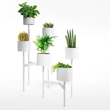 BABYLON — Produced by Johanson