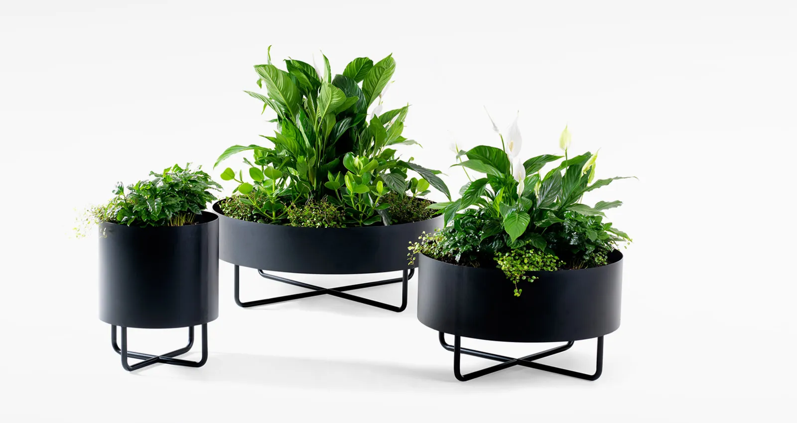 SHIMA GARDEN for Johanson