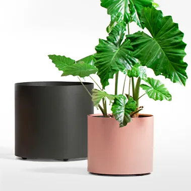 EDEN — Produced by Johanson